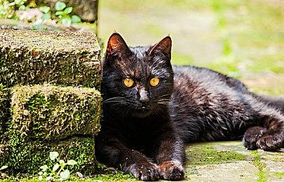 《毁灭战士3》跑酷增强MOD《Runner's Doom 3》更新发布